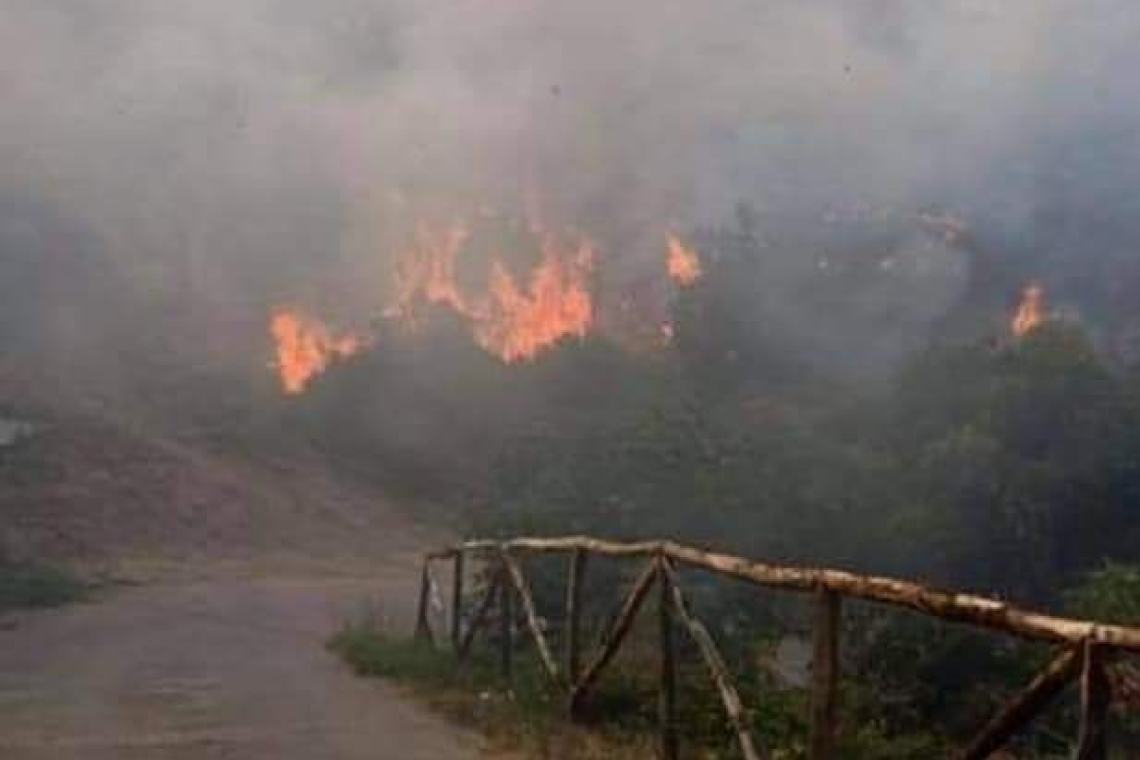 Incendi nel Leccese, oltre 500 richieste ai vigili del fuoco