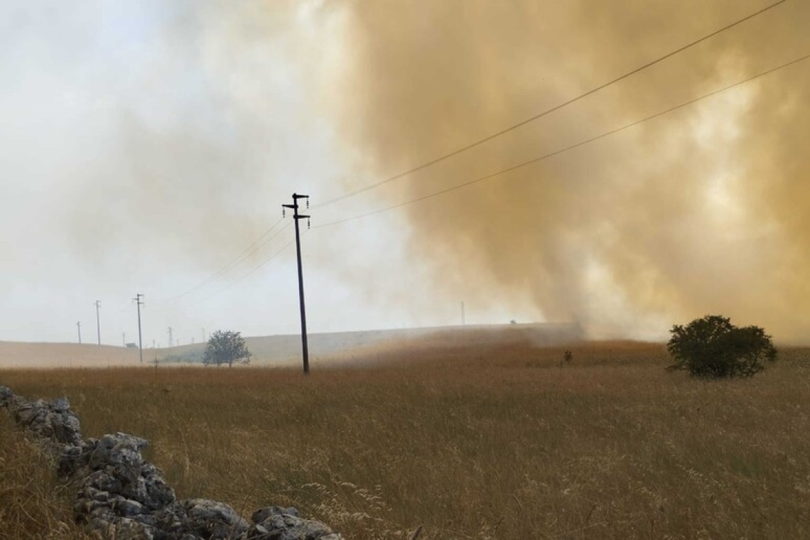 100 ettari in fiamme nel parco nazionale dell’Alta Murgia