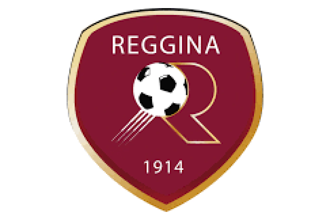 La Reggina ha depositato il ricorso al Tar contro l’esclusione dalla B