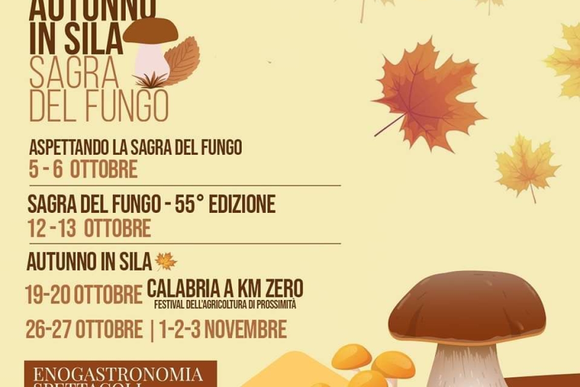 Si avvicina la 55ª Sagra del Fungo di Camigliatello Silano