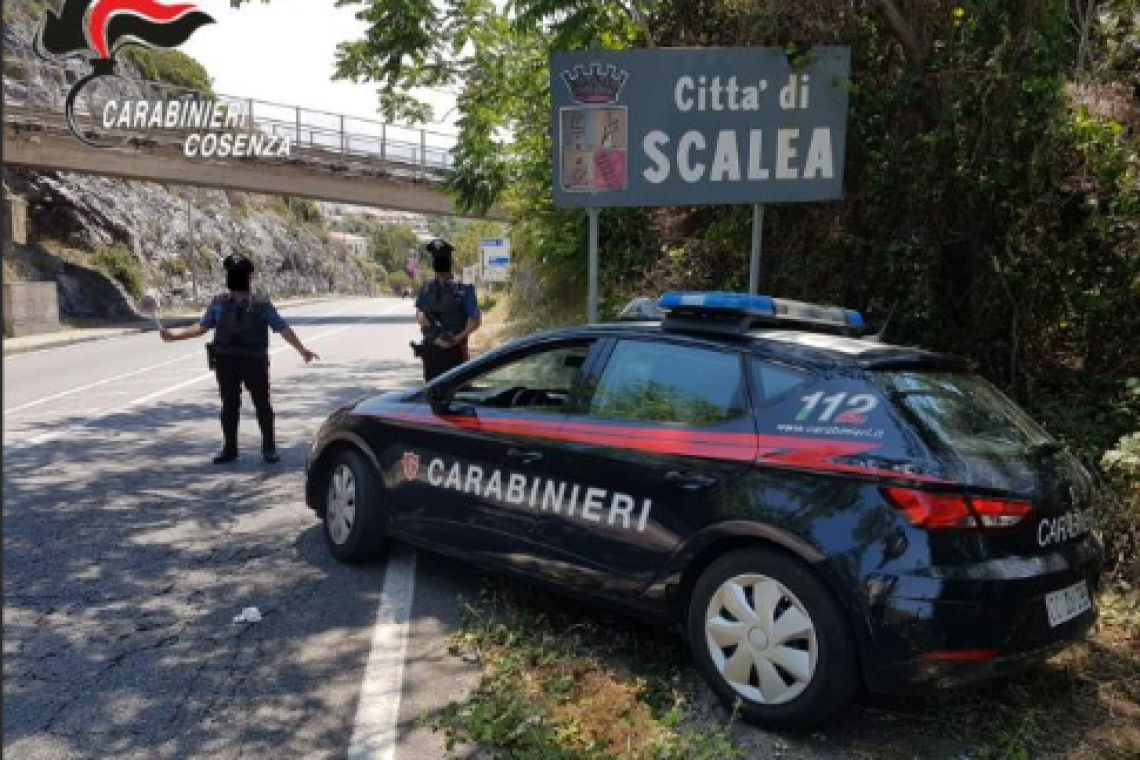 Scoperta rete di spaccio di droga tra Calabria e Marche: 4 arresti